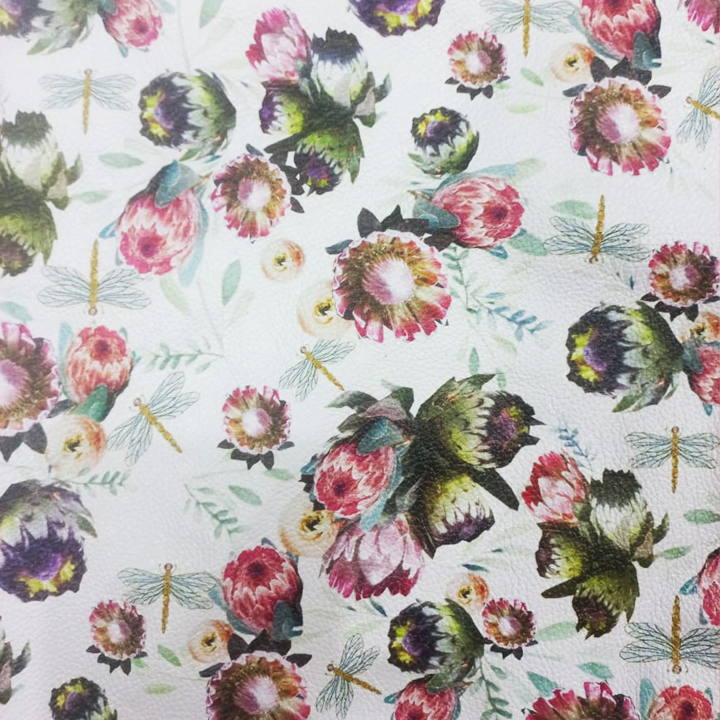 Whimsies Protea Vellie